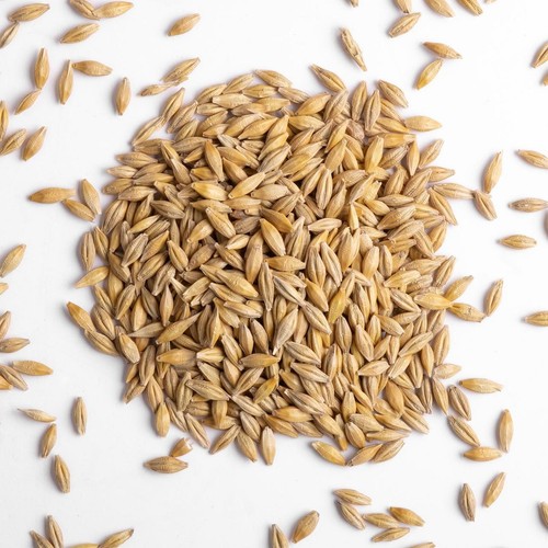 Kennedy wild whole barley for - kennedy,