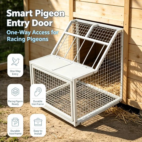 Pigeon loft door removable - door,