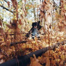 Billy Woods - Golliwog [New