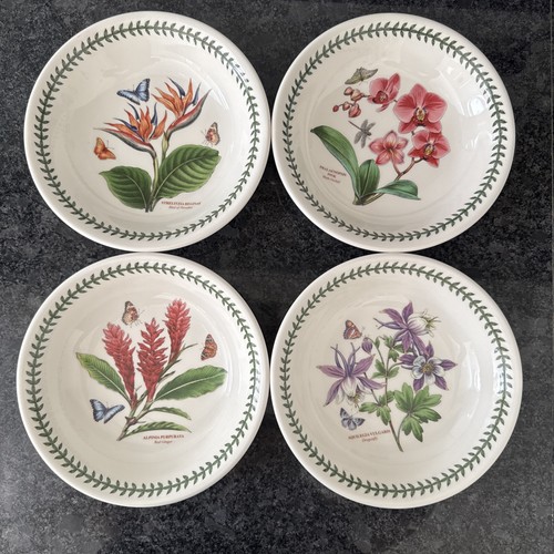 Portmeirion exotic botanic - exotic,