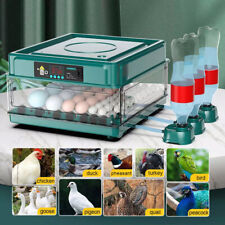 Incubators for Hatching Eggs