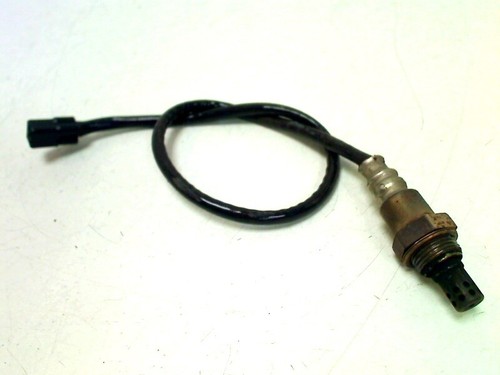 Oxygen sensor kawasaki 1000 - oxygen,