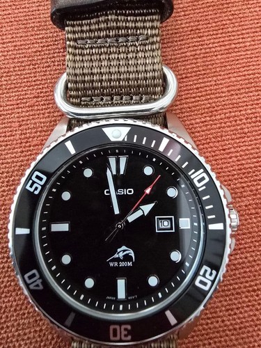 Casio analog quartz diver - analog,