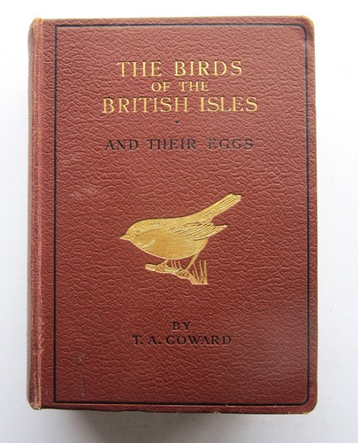 1933 british birds - british, eggs