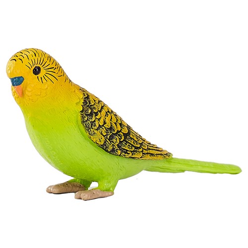 Budgerigar green bird - budgerigar, figurine