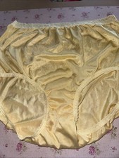 Vtg Panties Sheer Nylon Granny