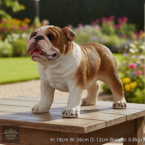 Cute standing bulldog statue - cute,