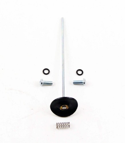 Accel pump rebuild kit - pump,
