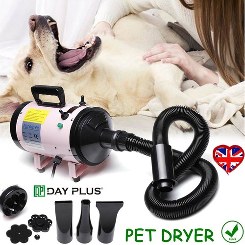 2800w dog pet dryer - dog,