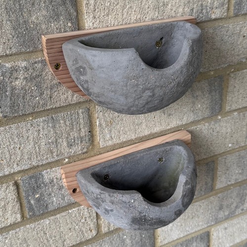 House martin nest box bird - nest,