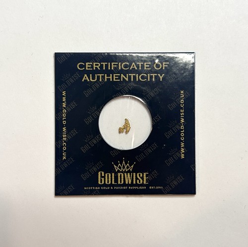 Rare scottish gold - scottish, nugget