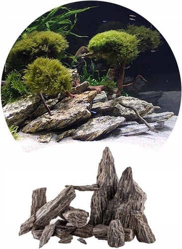 Aquarium rock fish - aquarium, stones
