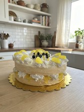 Fake Artificial Cake