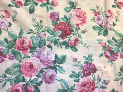 Kessler pink cabbage rose - kessler,