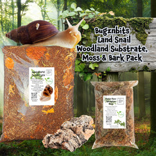 Bugznbits Organic Woodland Land Snail Substrate, Moss, and Bark  Set Up Pack