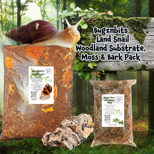 Bugznbits organic woodland - bugznbits,