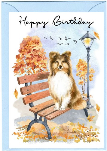 Shetland sheepdog sheltie - sheepdog,