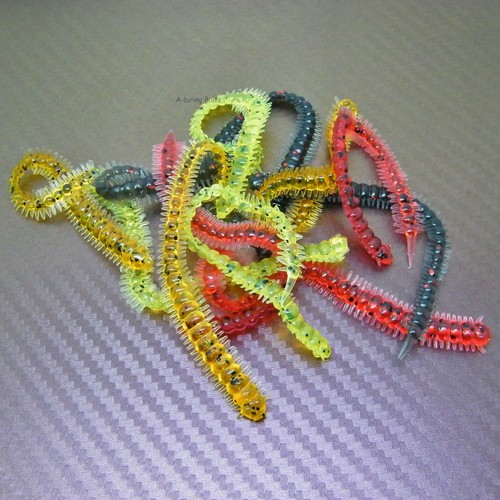 Ragworm bristle lug grub - ragworm,