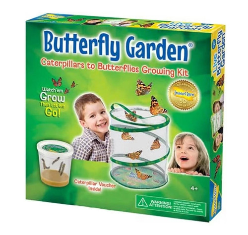 Insect lore butterfly - , garden