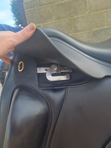 Harry dabbs allure dressage - harry,