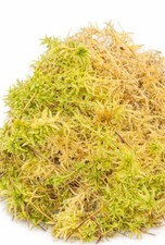 100% Organic Sphagnum Moss for
