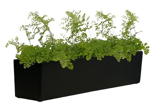 Primrose fibreglass window box - window,