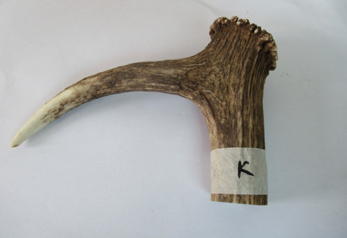 Red deer stag antler coronet - stag,