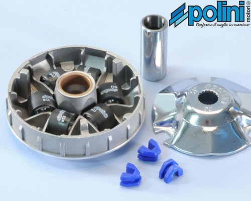 241 613 polini variator - 241.613,