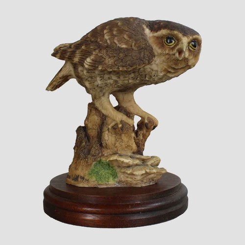 Little owl border fine arts - owl,