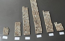 English Civil War  - The