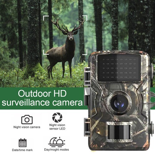 Wildlife hunting trail - trail, camera