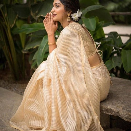 Party wear saree - party, blouse