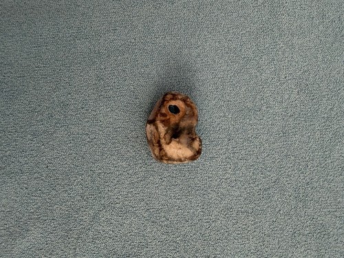 Natural hag stone holey - hag, pebble