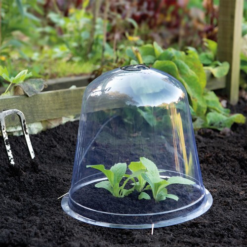Bell cloches garden protection - cloches,