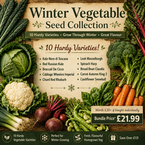 Winter vegetable seed - winter,