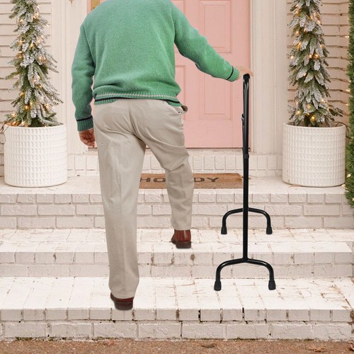 Stair climbing assist cane - stair,