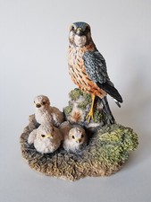 Rare BORDER FINE ARTS Merlin