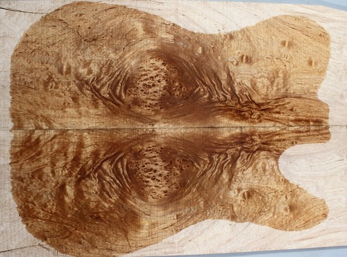 Figure telecaster guitar top - figure,