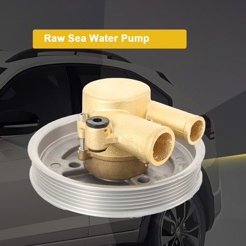 Raw sea water pump replace - 1x,