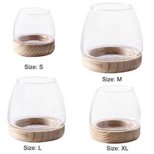 Glass Vase Multipurpose