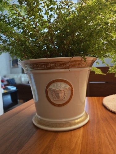 Versace medusa gorgona flower - versace,