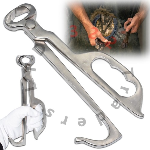 Professional one handed foal - professional,
