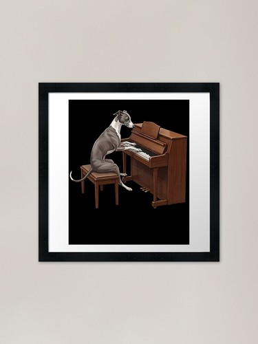 Italian greyhound playing - italian,