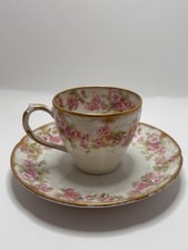 Esa France CH Field Haviland