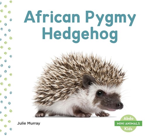 African pygmy hedgehog - pygmy,