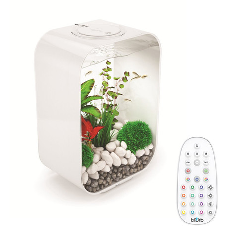 Biorb life 45l - life, aquarium