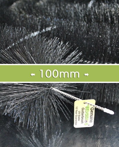 Genuine black hedgehog - hedgehog, gutter