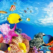 Aquarium background   picture 3d three-dimensional fish tank  background7970