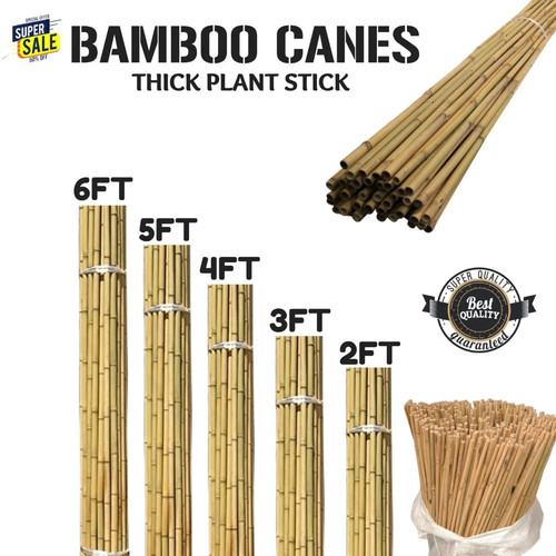 Heavy duty bamboo - bamboo, canes