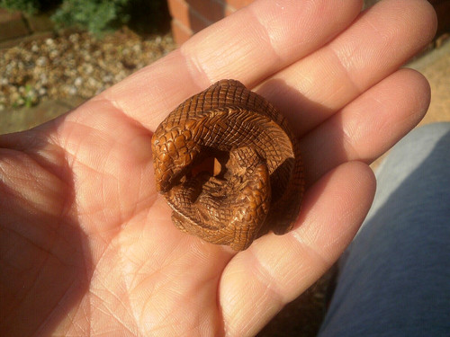 Hand carved wood - carved,